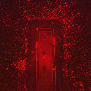 2.5K views · 39 reactions | Just Announced ! Billie Eilish is bringing HIT ME HARD AND SOFT: THE TOUR to PPG Paints Arena on October 13  | Live Nation Pittsburgh | Facebook