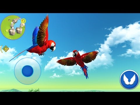 Parrot Life Simulator Game - Animal game android gameplay