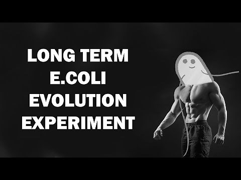 What happens to bacteria if you grow them for 37 years?