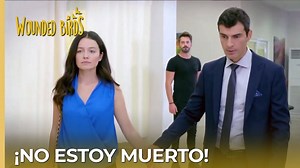 54K views · 1.4K reactions | ¡No estoy muerto! | #OmerSueñosRobados Capítulo 152 | Omer Suenos Robados | Facebook