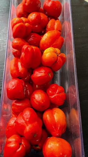 Maximize Tomato Shelf Life: Freezing, Blending, and Dehydrating Methods | PaqsKitchen