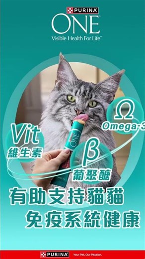 PURINA ONE® 全新推出貓小食 | 有營醬醬 舔出健康日嚐