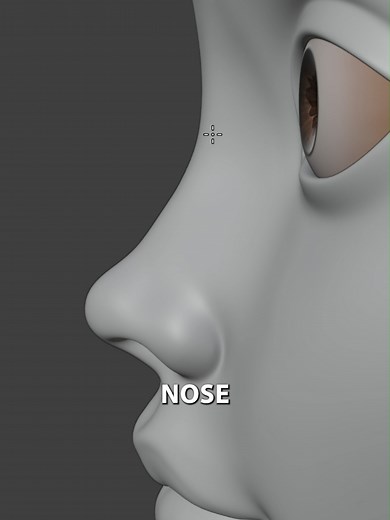 Common Nose Sculpting Issues in 3D Art