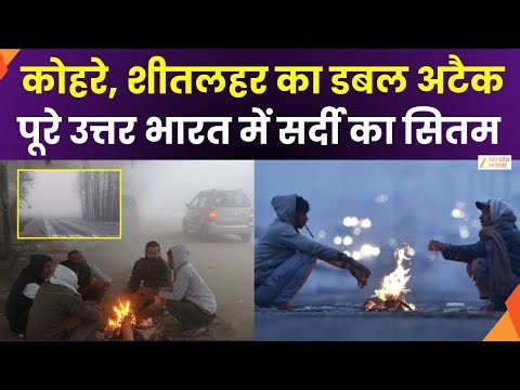 Cold Wave Alert In UP : कोहरे, शीतलहर का डबल अटैक, पूरे उत्तर भारत में सर्दी का सितम | Zee UPUK |