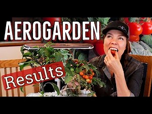 Aerogarden Harvest Slim Elite Review: Lessons Learned & Tomato Taste Test