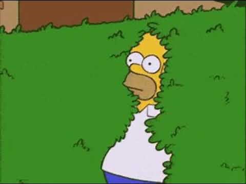 Simpson hiding meme clip | vt videos