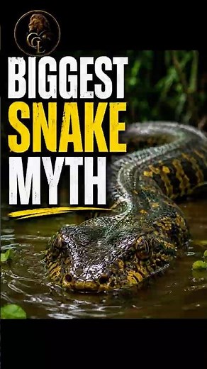 The Biggest Myth About Anacondas #animals #wildlife
