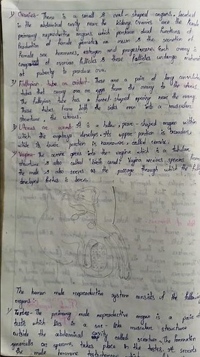 👉class 10 science chapter 7 📝notes 👈