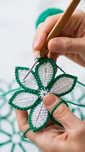 Easy Crochet Flower Applique Tutorial for Beginners