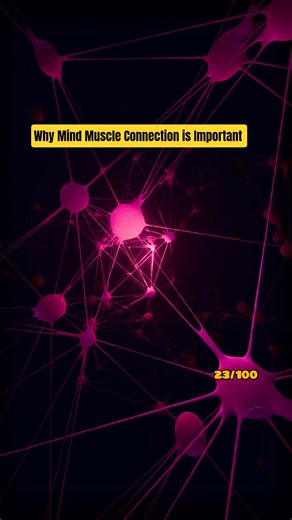 Connect Your Brain to Your Muscles 🧠⚡ (The Strength Hack!)