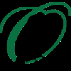 Bridal Preservation Gift Cards - Owl Cleaners