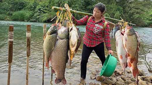How to catch giant river fish, trap fish with worms and hooks. Ly Phuc Ca | Court Shows