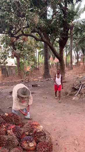 Comedian Godwin (@comediangodwin3)’s videos with original sound - Comedian Godwin