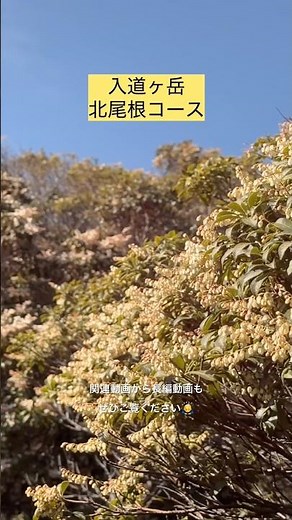 【入道ヶ岳】初心者が北尾根コースで登ってみた。#入道ヶ岳 #登山 #登山初心者 #ハイキング #鈴鹿セブンマウンテン