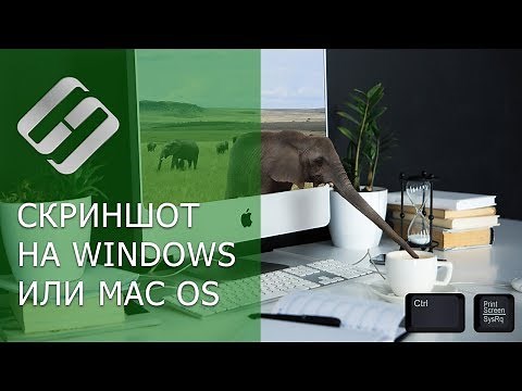Как сделать скриншот на компьютере или ноутбуке с Windows или MacOS (hotkeys, программы) 💻⌨️🖼️
