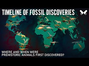Where and when were Prehistoric Animals first discovered? .Timeline World Map