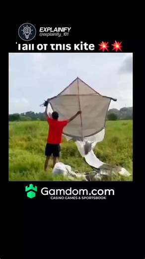 knowverse🧠 on Instagram: "- The Instagram post showcases an exceptionally long kite tail, likely exceeding 100 meters, which is unusual compared to typical kite tails that range from a few meters to around 30 meters for decorative or functional purposes, as noted in kite flying resources like Prism Kites and Kitty Hawk Kites. - The kite’s ability to fly with such an extensive tail suggests strong wind conditions, as longer tails generally require more wind due to increased drag, a principle sup