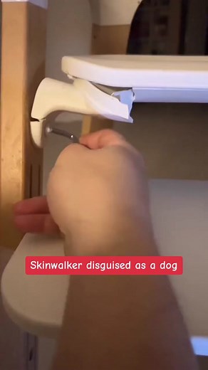 Skinwalker disguised as a dog. #appalachian #appalachianmountains #dog #skinwalkercaughtoncamera #skinwalker #skinwalkers #skinwalkervibes #disguised #duisguising #creepy #horror #horrortok #horrortiktok #mystery #mysteries #conspiracies #creepyvideos\t#shapeshifters #rake #scary