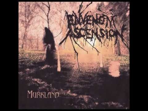 Envenom Ascension - By the Flames of Muspell / Nefarious