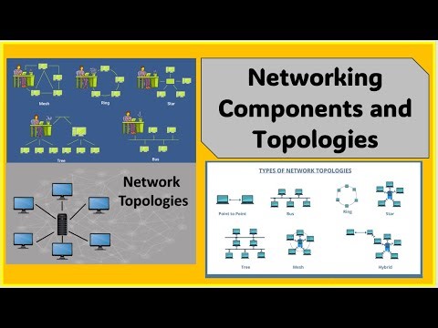 Networking Components and Topologies