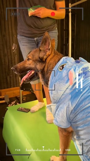 10K views · 82 reactions | We turned some of the most viral 2025...