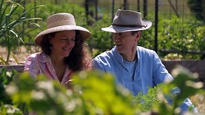 The Connection | movie | 2014 | Official Trailer