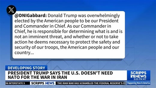 Gabbard backs Trump after intelligence official resigns over Iran war | Haystack News