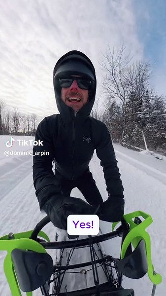 Devenir Musher : Aventure avec les Chiens d'Alaska