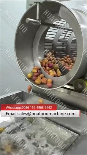 Industrial Drum Potato Washer Machine With Large Capacity
