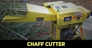 5.1K views · 1K reactions | KisanKraft chaff cutter is a mechanical equipment which is the most efficient and effective device used for slicing fodder crops like straw or hay into tiny pieces for blending together with forage. For more details, visit: https://bit.ly/351m58B #ChaffCutter #FodderCutting #FodderCrops #FarmMachinery | KisanKraft | Facebook