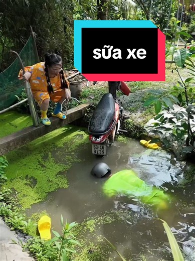 Cô Ba Họ La: Sữa Xe Hài Hước Mỗi Ngày