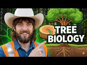Tree Biology (Chapter 1) - ISA Arborist Study Guide | Tree Talk