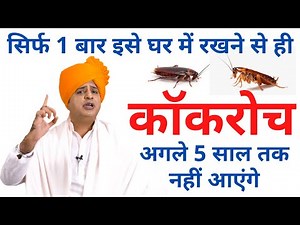 यह 1 बार लगाने से ही कॉकरोच अगले 5 साल तक नहीं आएंगे, Get Rid Of Cockroach || Sanyasi Ayurveda ||