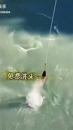 Reality Capture #shortvideo