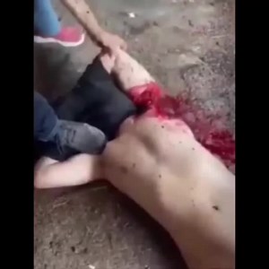 Cut Off The Arms And Cut Off The Legs .. Or Vice Versa?