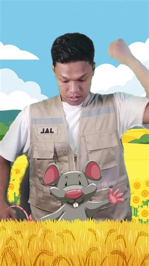 Awas Ada Tikus 🐭