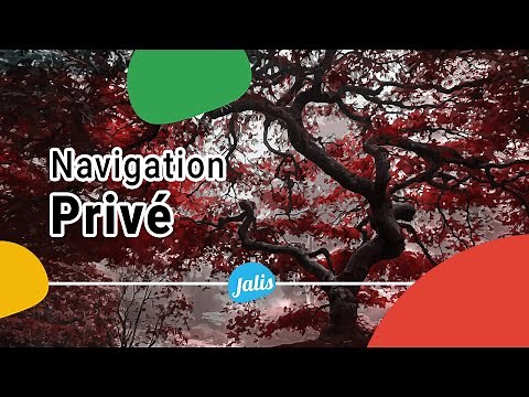 [TUTO] Comment utiliser la navigation privée d'un navigateur web ?