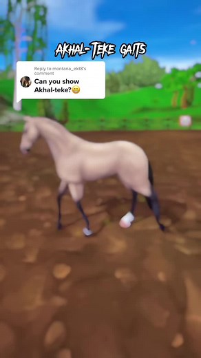 Exploring the Unique Gaits of Akhal-Teke Horses