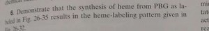 6. Demonstrate that the synthesis of heme from PBG as laTelad i... | Filo