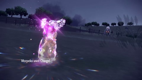 Morpeko doesn’t change forms when Tera’d