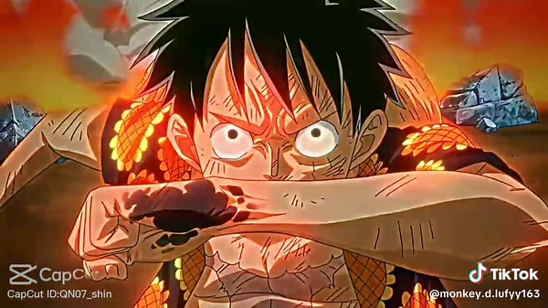 Monkey D. Luffy - The Pirate King | One Piece Character