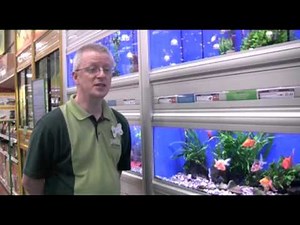 Employability Skills video