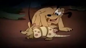 Mickey Mouse Cartoon - Pluto and The Armadillo - video Dailymotion