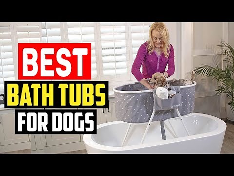 Top 5 Best Bath Tubs for Dogs in 2025
