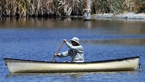 6 Best Solo Canoes Reviewed in Detail (Winter 2026)