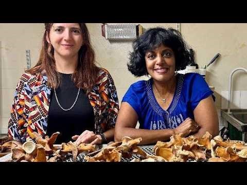 Are Dinosaur Ages WRONG? New Research on Growth Marks in Crocodiles