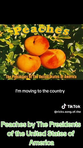 Rick's Song of The Day on TikTok