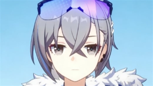 银狼买了劣质手套结果有了小银狼