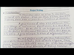 Biology project|Birds from your surrounding area|Class 11th & 12th|