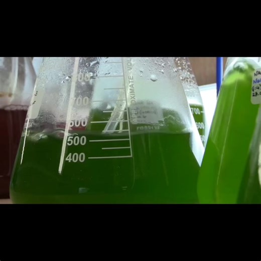 Algaltechnology on Instagram‎: "🌍💚 Carbon Dioxide Biofixation by Microalgae Tiny Organisms, Massive Climate Impact! Microalgae are microscopic photosynthetic powerhouses capable of capturing carbon dioxide (CO₂) far more efficiently than terrestrial plants 🌿. 🔬 How does it work? Through photosynthesis, microalgae convert CO₂, sunlight ☀️, and nutrients into biomass, releasing oxygen as a byproduct. 🚀 Why are microalgae game-changers? ⚡ Up to 10–50 times higher CO₂ fixation rates than land p
